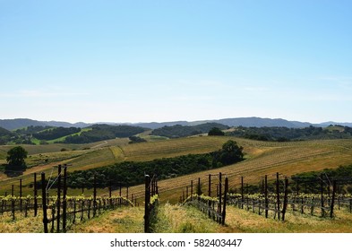 California's Central Coast Wine Country