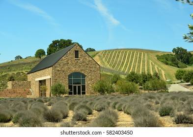 California's Central Coast Wine Country