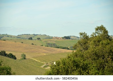 California's Central Coast Wine Country