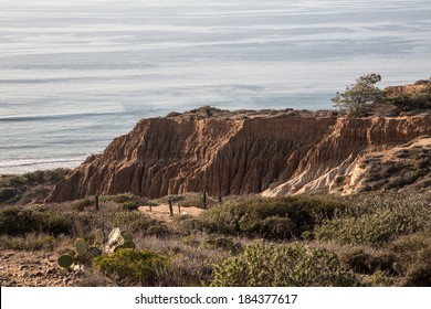 California's Torrey Pines State Natural Reserve