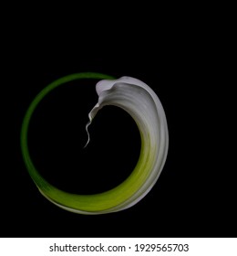 Calla Lily circle with a curl - Powered by Shutterstock