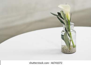 Calla Lily With Leaves In A Vase