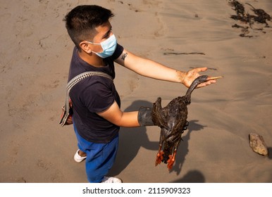 Callao, Peru; January 19, 2022:  Workers Clean After An Oil Spill, On Cavero Beach In The Ventanilla District Of Callao. From La Pampilla Repsol Refinery