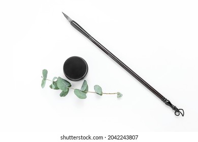 Calligraphic Brush With Ink And Plant Branch On White Background