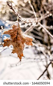 The Calm After The Ice Storm