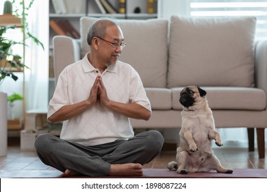 Calm of Asian elderly senior man doing yoga with dog pug breed in living room at home,Happy Retired with pug dog concept,Wellness pensioner breathing and meditation with cute dog pug in living room