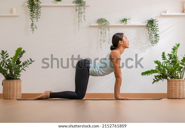 Calm of Athletic Asian woman in sportwear\
practice yoga Cat Cow pose to breathing and meditation at\
home,Healthy woman doing yoga so comfortable and relax,Wellness\
Yoga Healthcare Concept
