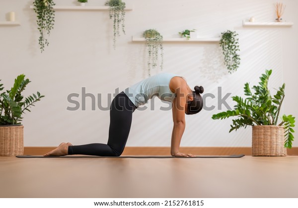 Calm of Athletic Asian woman in sportwear\
practice yoga Cat Cow pose to breathing and meditation at\
home,Healthy woman doing yoga so comfortable and relax,Wellness\
Yoga Healthcare Concept