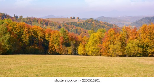 calm autumn morning in carpathian mountains. trees on the grassy hills. sunny autumn scenery of ukrainian countryside. beauty in nature concept - Shutterstock ID 2200515201