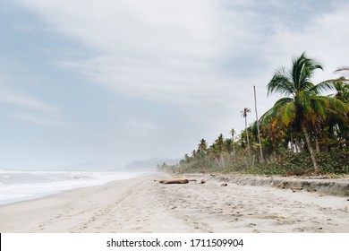 Calm Beach At Palomino Colombia