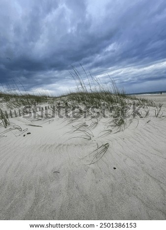 Similar – Image, Stock Photo winter beach Landscape