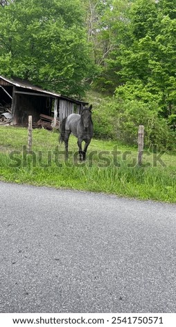 Similar – Image, Stock Photo Scenery capture. Black and white wide natural view