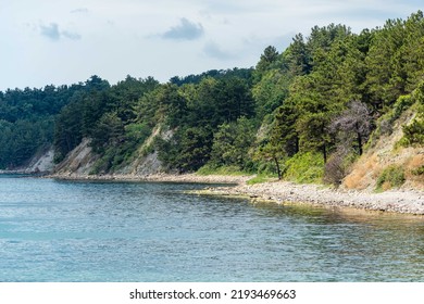  Calm Black Sea. Pine trees grow on steep stone slopes. Steep rocky shore in front of narrow strip of stone beach.There are no people on wild coast. Resting place for tourists with tents. - Powered by Shutterstock