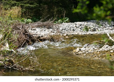 Calm Brook Flows Through Stone Bed