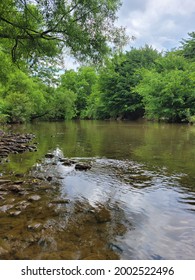 Calm Brook With Green Foliage