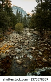 Calm Brook In Nature At Sunrise