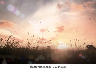 Calm concept: Vintage style, abstract beautiful meadow landscape autumn sunset background