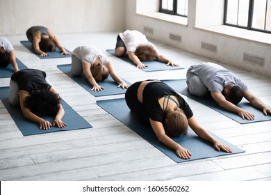 Calm diverse young people wearing sportswear practicing yoga at group lesson, doing Balasana exercise, relaxing and stretching in Child pose on mats, working out in modern fitness center - Powered by Shutterstock