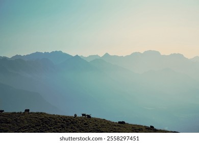 Calm evening with cows grazing on a hillside under majestic mountain backdrop - Powered by Shutterstock