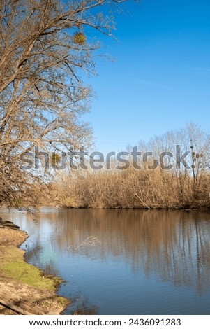 Calm flow of river Dyje, with trees on the both banks. Brigh blue sky in the late winter. Januv hrad, Lednice, Podivin, Moravia, Czech republic.