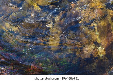 Calm Flowing Water In A Small River Is Very Clean And Clear