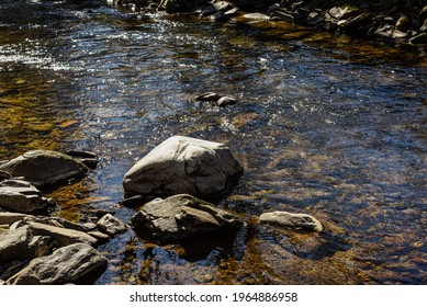 Calm Flowing Water In A Small River Is Very Clean And Clear