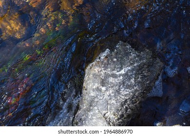 Calm Flowing Water In A Small River Is Very Clean And Clear