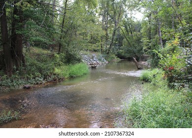 Calm, Flowing Waters And Trees