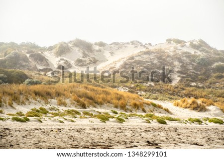 Similar – Image, Stock Photo western beach Calm