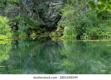 Calm forest pond bordered by dense green vegetation and rocky shoreline. Still water reflects surrounding trees, creating a peaceful and refreshing natural scene.