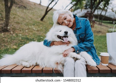 Calm Granny Hugging Her Fluffy Pedigree Dog Stock Photo