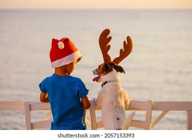 Calm and happy Christmas at seashore concept. Two friends in Christmas hats looking at seascape. Kid and dog at beach - Powered by Shutterstock