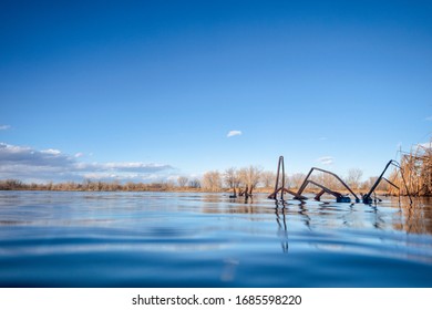 Calm Lake With Reed In Early Spring In COlorado, Low Angle View