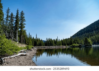 A calm lake with a rocky shore and a piece of driftwood in the foreground. The surrounding forest is reflected in the clear water, and the tree-covered hillside rises in the background under a clear s - Powered by Shutterstock