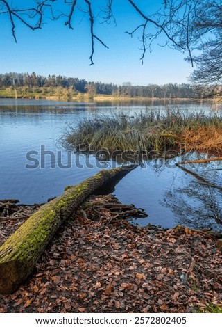 Similar – Image, Stock Photo Shore from roots in an inland water body