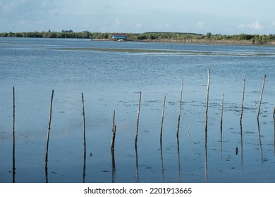 A Calm Lake With A Small Log Stuck In The Middle