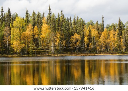 Calm lake surface and autumn forest on background