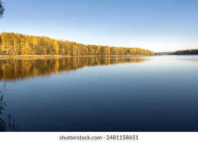 A calm lake with trees in the background. The water is still and the sky is clear. The scene is peaceful and serene