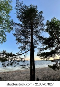 Calm Lake View In The Forest, Blue Sky