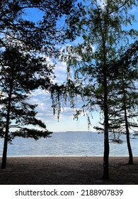 Calm Lake View In The Forest, Blue Sky