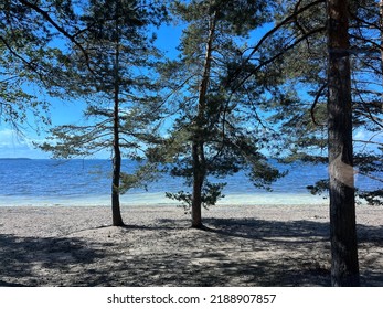 Calm Lake View In The Forest, Blue Sky