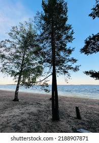 Calm Lake View In The Forest, Blue Sky