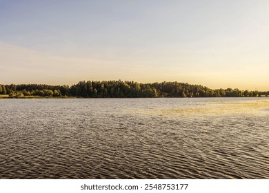 Calm lake water reflecting sunlight at sunset with forested shoreline in distance under clear sky. Sweden. - Powered by Shutterstock