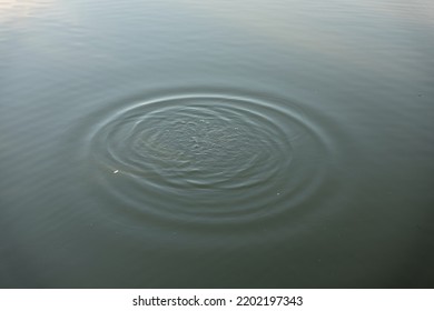 Calm Lake Water Surface With Rippling Waves.