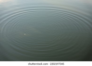 Calm Lake Water Surface With Rippling Waves.