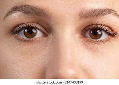 Calm look. Close-up cropped image of beautiful female brown eyes showing different emotions. Youth culture. Natural beauty. Concept of human emotions, facial expression, beauty. Copy space for ad - Powered by Shutterstock