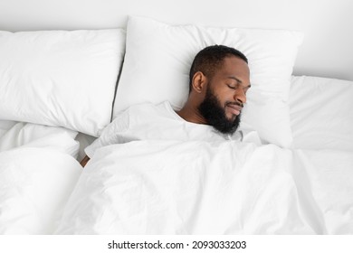 Calm millennial black bearded male sleeping on bed, soft pillow with white duvet in bedroom enjoy rest on weekend and vacation, empty space. Healthy sleep, health care and relax at home, top view