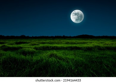 Calm Night View With Full Moon. Night Scene In Grassland