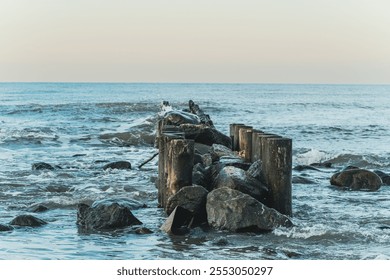 Calm ocean water gently washes against the breakwater made of wooden posts and rocks during early morning creating a serene atmosphere Soft colors reflect the rising sun. - Powered by Shutterstock