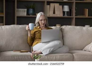 Calm older 50s woman hold mug relaxing on sofa with laptop, drink morning coffee buy goods on internet spend carefree weekend leisure chat on-line, surfing website, do e-shopping at home. Tech concept Foto Stock